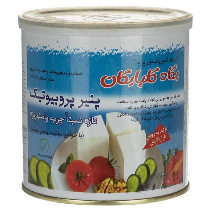 پنیر پروبیوتیک پگاه مقدار 400 گرم Pegah Probiotic Cheese 400gr